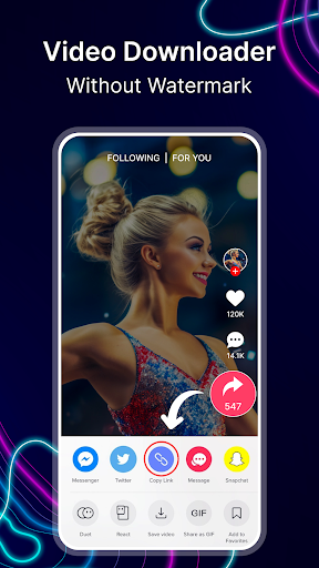 TT Video Download No Watermark PC