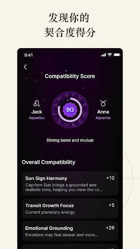 Natal Chart: 每日运势 占星电脑版