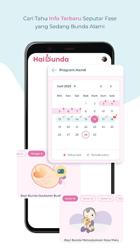 HaiBunda: Kehamilan, Parenting PC