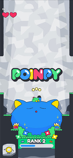 POINPY