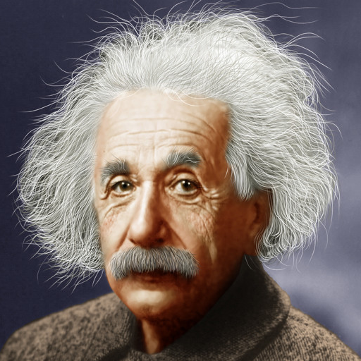Einstein's Riddle PC