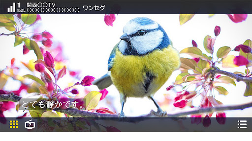 DTV Player ★ DTV03A-1T-U専用アプリ PC版