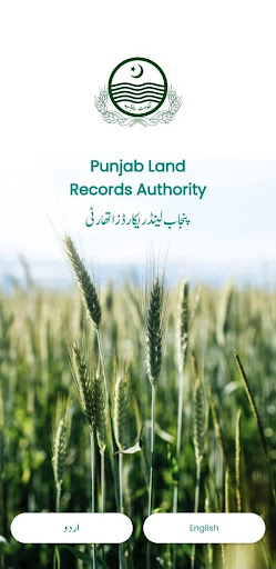 Punjab Zameen ?? ??