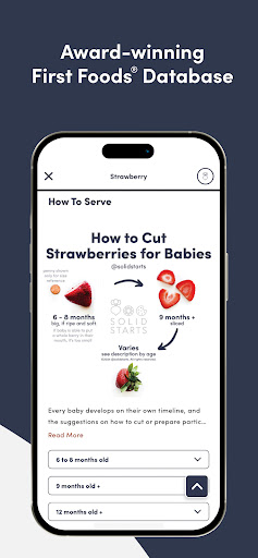 Solid Starts: Baby Food App PC