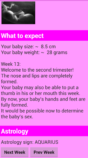 Pregnancy calculator PC