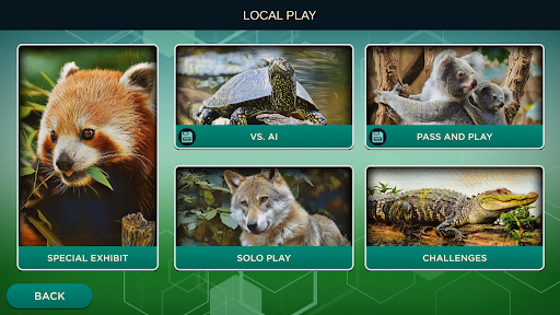 Ark Nova