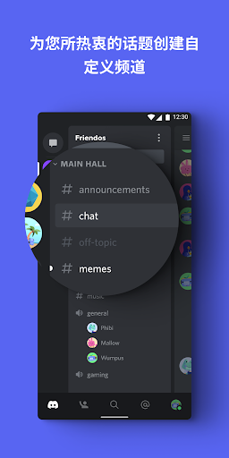 Discord - Talk, Video Chat & Hang Out with Friends电脑版