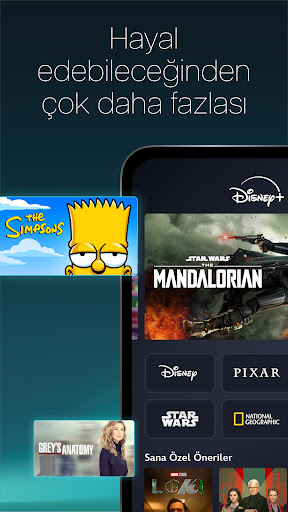 Disney+ PC