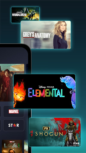 Disney+ PC