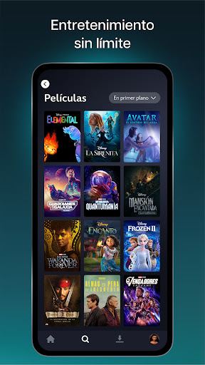 Disney+ PC