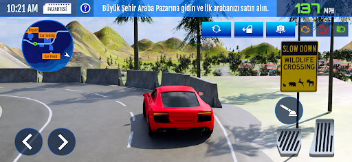 Car Sales & Drive Simulator 25