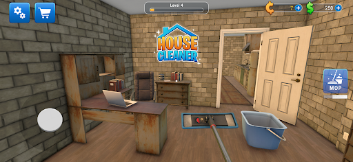 House Cleaner