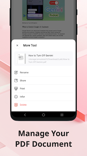 PDFViewer - Master PC