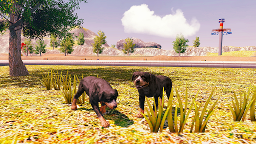 Rottweiler डॉग सिम्युलेटर PC
