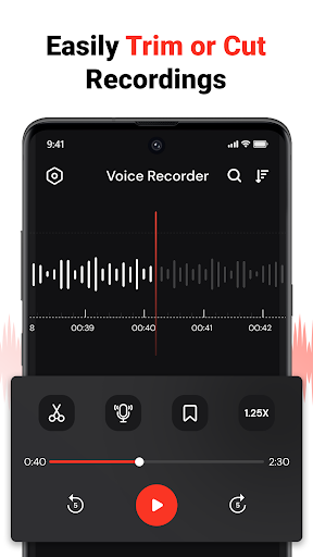 Voice Recorder پی سی