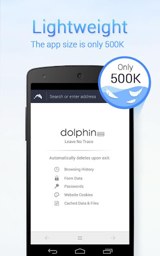 Dolphin Zero Incognito Browser পিসি