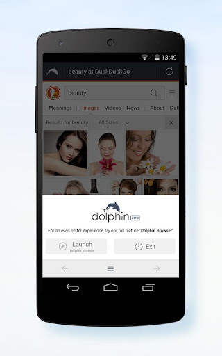 Dolphin Zero Incognito Browser পিসি
