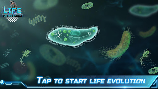 komputer Life on Earth: evolution game