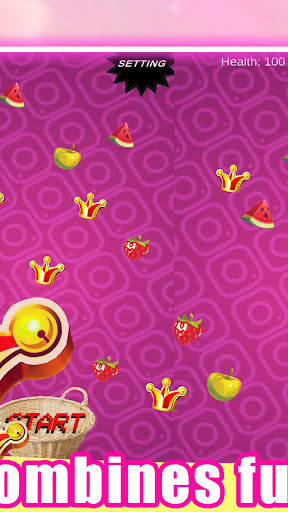 Fruit Catch Challenge