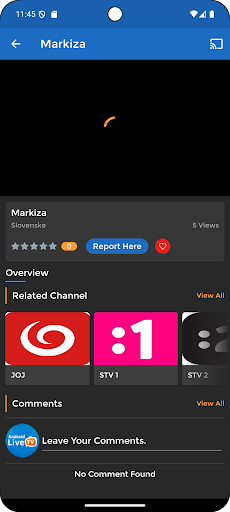 Slovenske a ceske Televizie PC