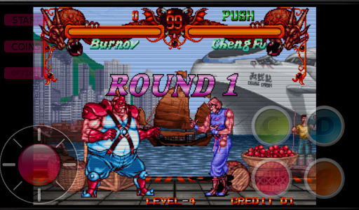 Double Fight Dragon 1995 পিসি