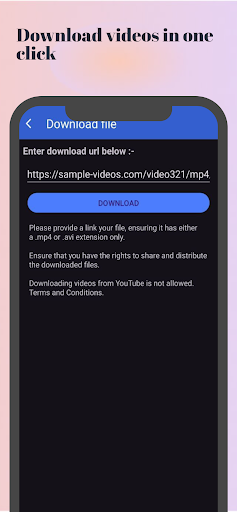 Video Player and Downloader PC
