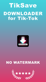 Download Video TT- SSSTik PC