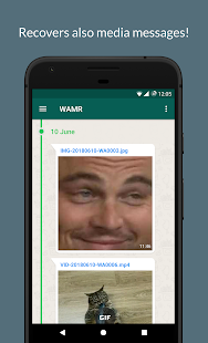 WAMR - Recupera mensajes borrados, descarga estado PC