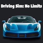 Driving Sim: No Limits PC