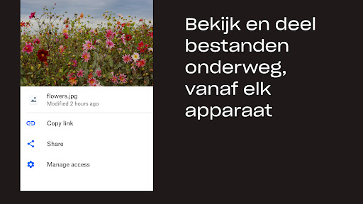 Dropbox: Documenten in Drive PC