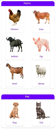 DrPashu - Instant Online Vet পিসি