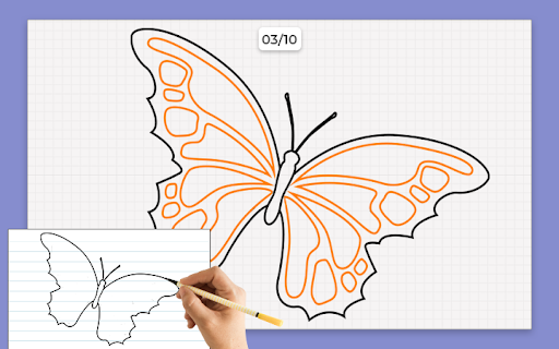 Butterfly Draw Step by Step