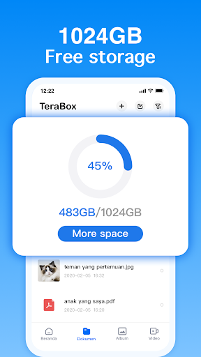 Terabox: Cloud Storage Space para PC