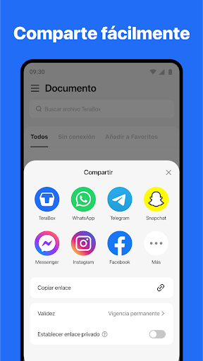 TeraBox: Respalda la nube