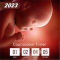 Due Date Countdown Pregnancy PC版