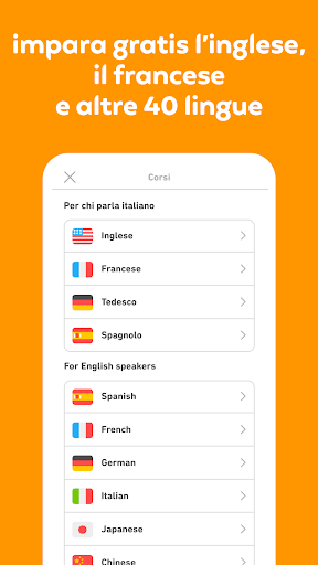 Impara l'inglese con Duolingo PC