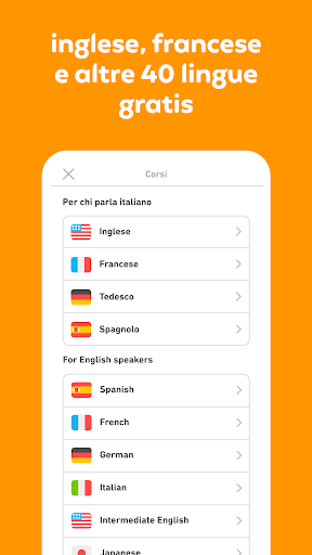 Impara l'inglese con Duolingo