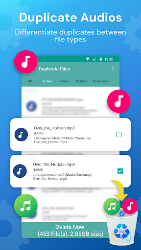 Duplicate Files Fixer PC