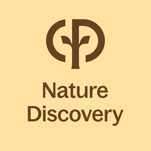 Nature Discovery by CP