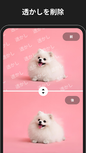 消しゴムマジック - 写真消しゴム - 人消しアプリ PC版