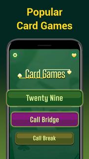 Call bridge offline & 29 cards PC