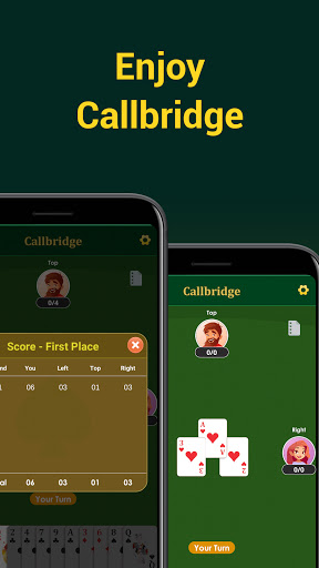 Call bridge offline & 29 cards