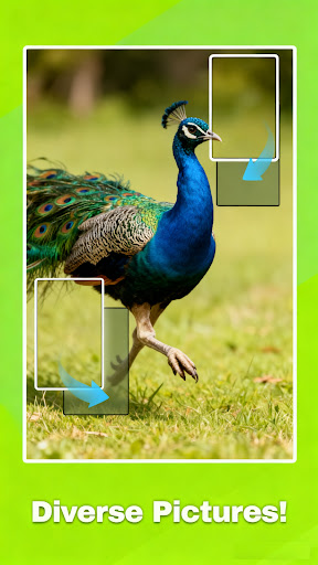 Jigscapes Puzzle電腦版