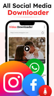 Video Downloader PC