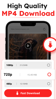 Video Downloader PC