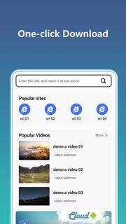 Video Downloader PC