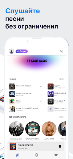 ZK.FM PRO Music Online
