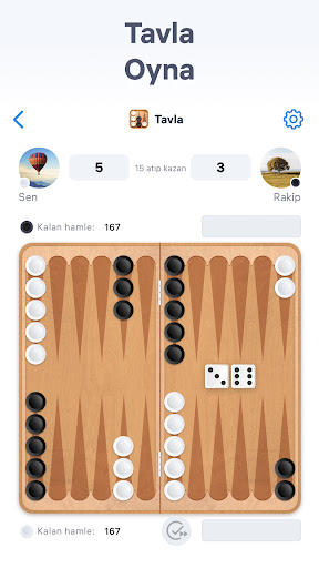 Tavla - Masa oyunları PC