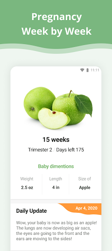 Pregnancy App PC