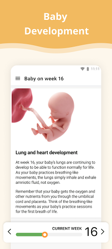 Pregnancy App PC